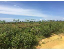 Dijual Murah Tanah Luas 37.391 m2 Di Kubu Raya Pontianak