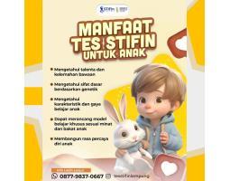 Tes Kecerdasan Anak STIFIN - Bandar Lampung