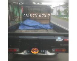 Mobil Suzuki Carry Pick Up AC 2002 Bekas - Batang