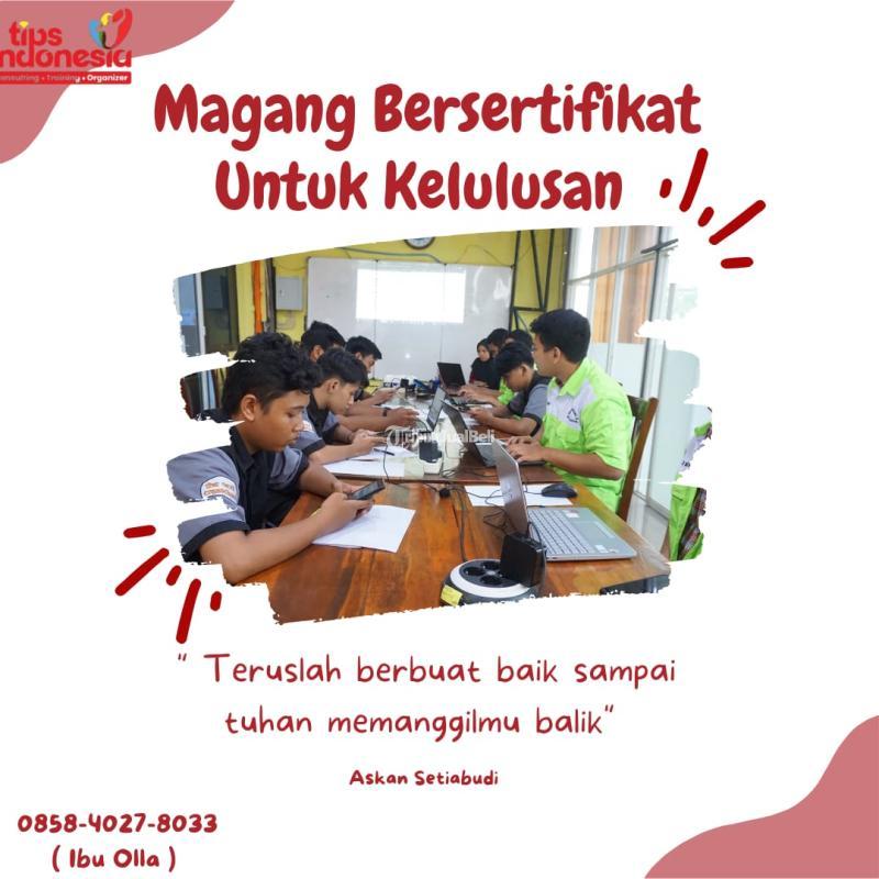 Magang Bersertifikat Untuk Kelulusan Tips Indonesia - Malang