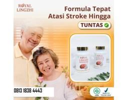 Royal Lingzhi Original Obat Herbal Stroke Asam Urat Hipertensi - Tanah Bumbu