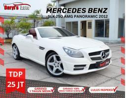 Mobil Mercedes Benz SLK250 AMG Panoramic TDP 25 Juta Bekas Tahun 2012 - Jakarta Utara 