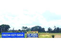 Jual Tanah Luas 1500 m2 area Mengwi - Badung Bali