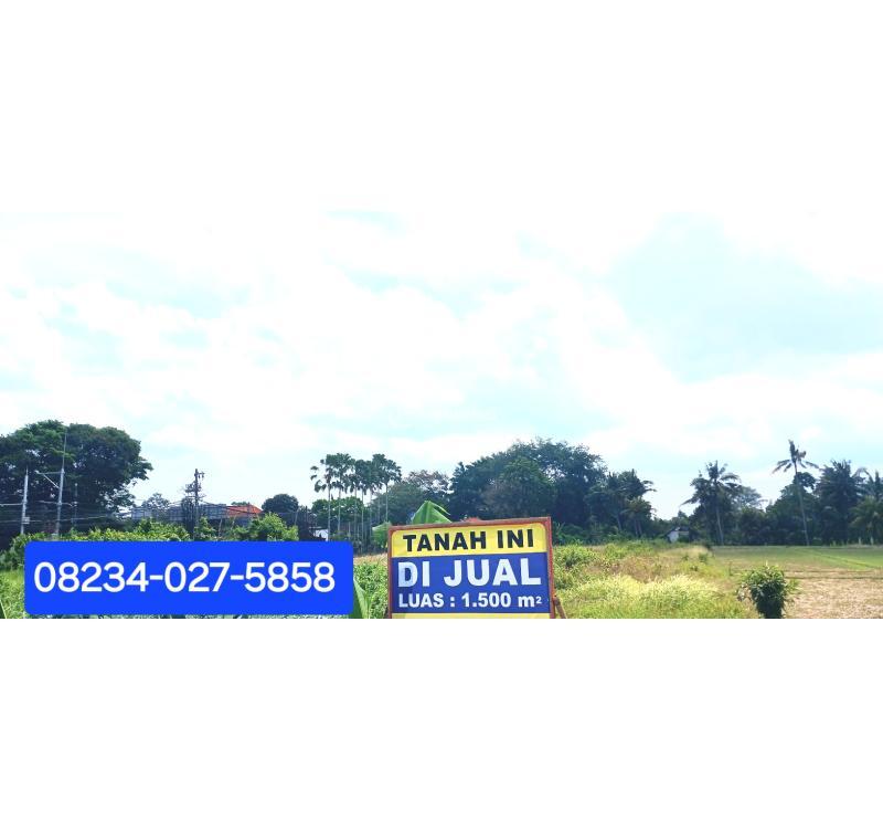 Jual Tanah Luas 1500 m2 area Mengwi - Badung Bali