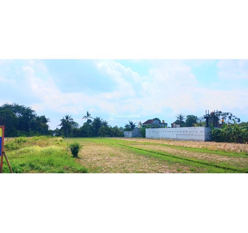 Jual Tanah Luas 1500 m2 area Mengwi - Badung Bali