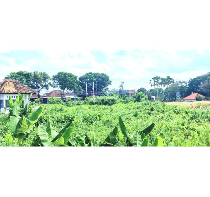 Jual Tanah Luas 1500 m2 area Mengwi - Badung Bali