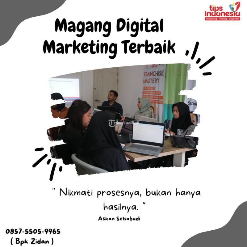  Magang Digital Marketing Terbaik - Malang 
