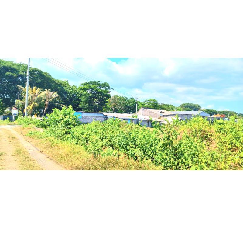 Jual Tanah Luas 1433 m2 Jl Ida Bagus Mantra Tulikup Bali - Gianyar 