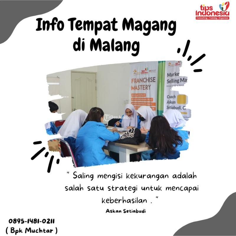Info Tempat Magang Mahasiswa di Tips Indonesia - Malang 