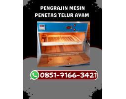 Mesin Penetas Telur Entok Siap Kirim - Pasuruan