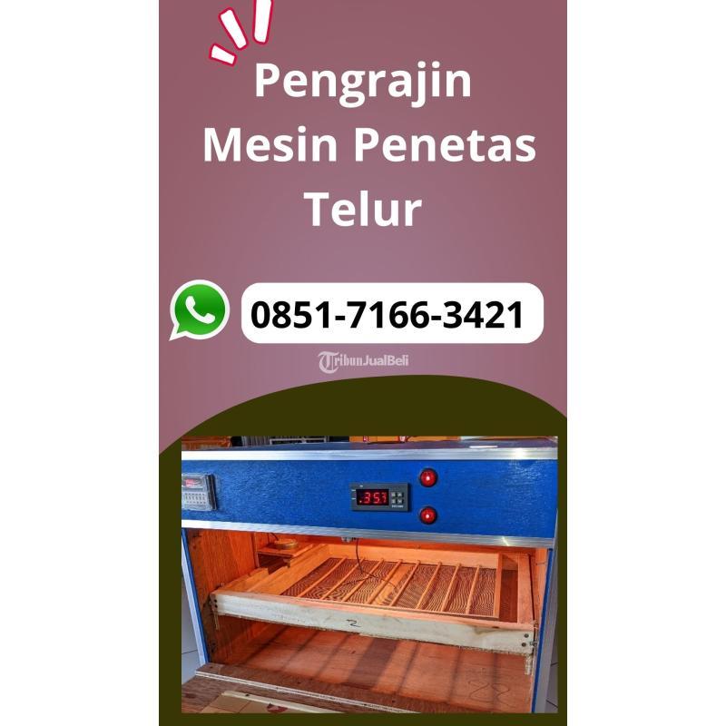 Tetas Telur Otomatis Siap Kirim - Pasuruan 