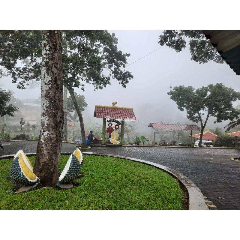  Dijual Tanah Murah Tempat Wisata di Trawas Plus Fasilitasnya - Mojokerto