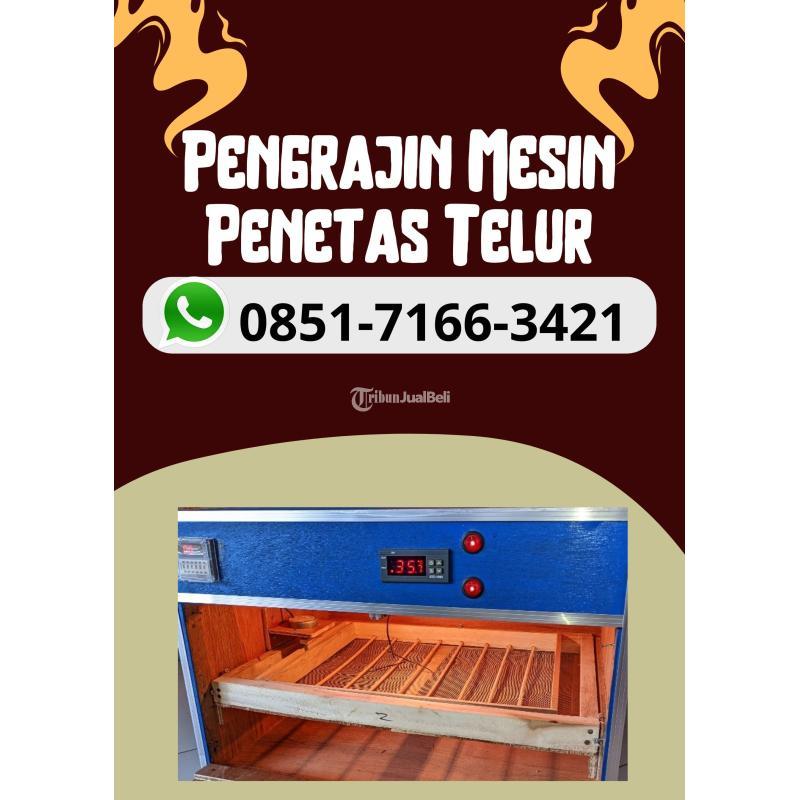 Mesin Tetas Full Otomatis Kapasitas 30 Siap Kirim - Pasuruan