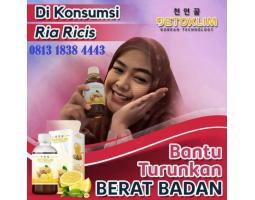 Baru Original Variasi Madu  Kapsul  BodyGel Detoslim Madu Obat Kurus - Yogyakarta