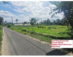 Dijual Tanah Sawah Cocok Untuk Kuliner Guesthoouse Jalan Turi - Sleman 