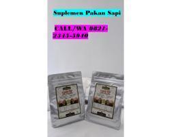 Suplemen Penggemuk Sapi - Kediri 