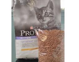 Proplan Kitten Repack 1 kg Amigos Petshop - Makassar