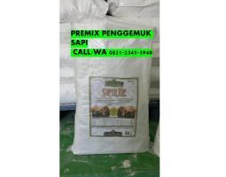 Obat Penggemuk Sapi Jantan - Kediri 