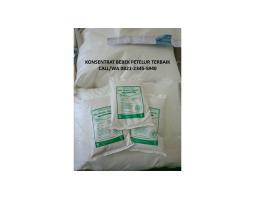 Vitamin Bebek Petelur Mix Master - Kediri 