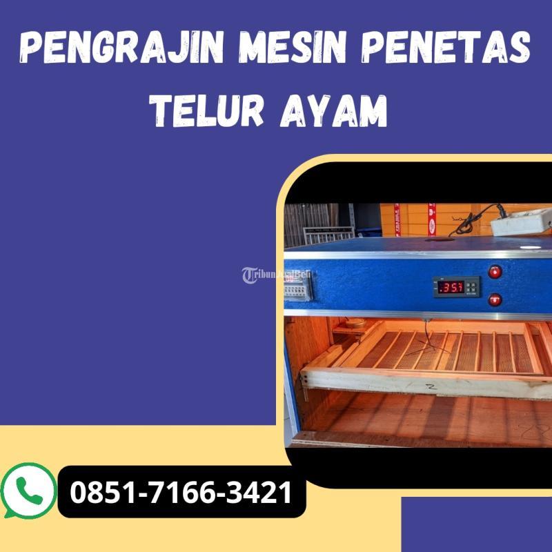 Mesin Penetas Telur Siap Kirim Ke Luar Kota - Pasuruan Kota