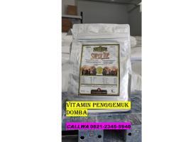 Vitamin Untuk Domba Agar Cepat Gemuk - Kediri 