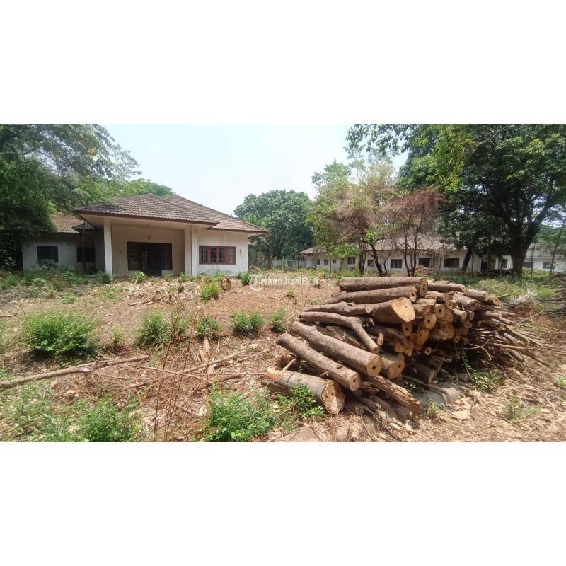 Dijual Tanah Murah Dibawah NJOP Rawajati Kalibata Pancoran - Jakarta Selatan