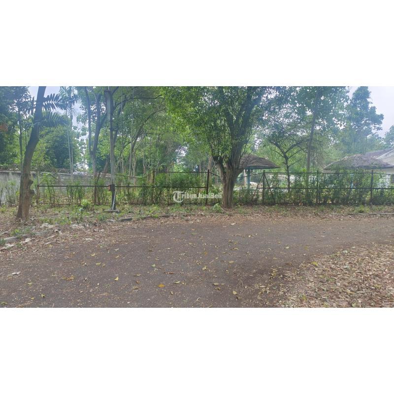 Dijual Tanah Murah Dibawah NJOP Rawajati Kalibata Pancoran - Jakarta Selatan