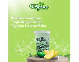 Rasakan Kesegaran Tropisco Melon Kombinasi Sempurna Buah dan Kelapa Muda - Tulungagung