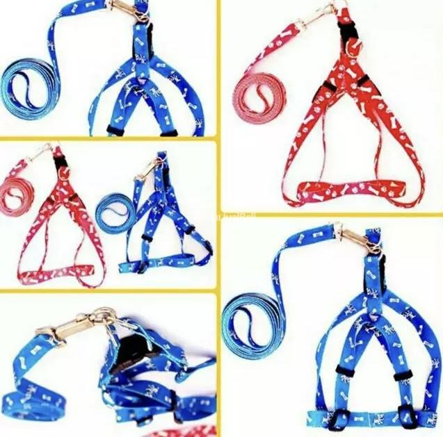 Hernes HRN 179 - Amigos Petshop - Makassar