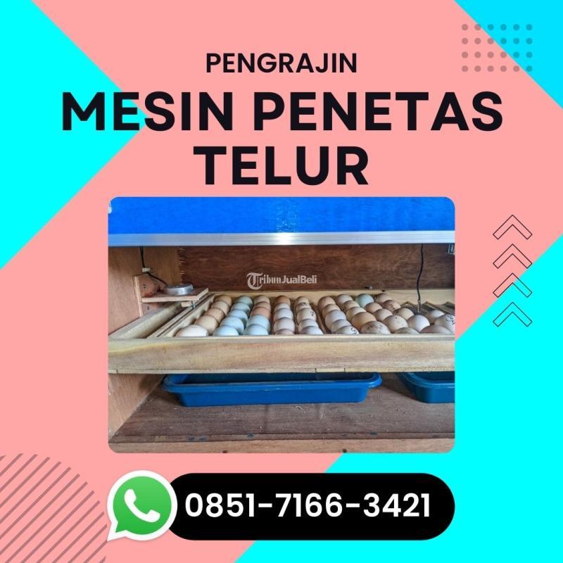 Mesin Tetas Full Otomatis Kapasitas 30 - Pasuruan