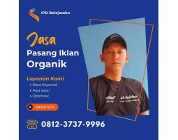 Jasa Pasang Iklan Google Organik - Bangka Selatan