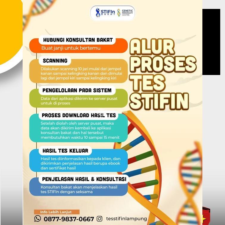 Tes STIFIn di Pringsewu - Bandar Lampung