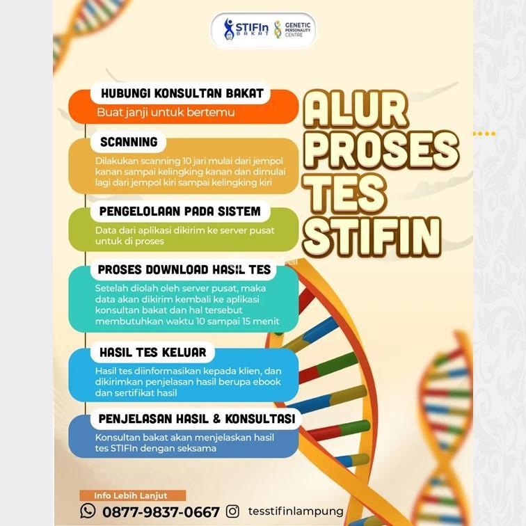Tes STIFIn di Pringsewu - Bandar Lampung