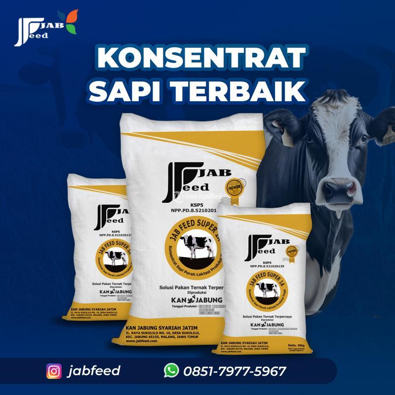 Konsentrat Sapi Terbaik - Malang