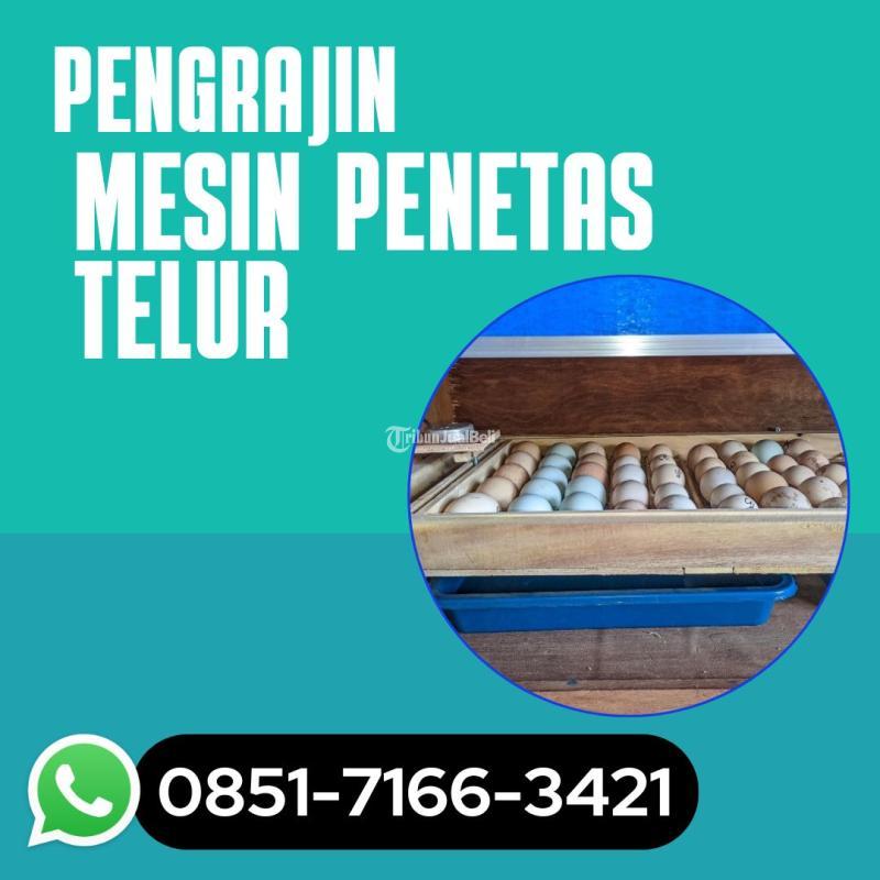 Alat Penetas Telur Ayam Siap Kirim - Pasuran Kota