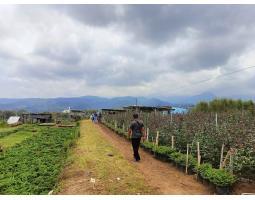 Dijual Tanah Strategis dengan View Pegunungan di Kota Batu, Dekat Wisata Selecta - Batu 