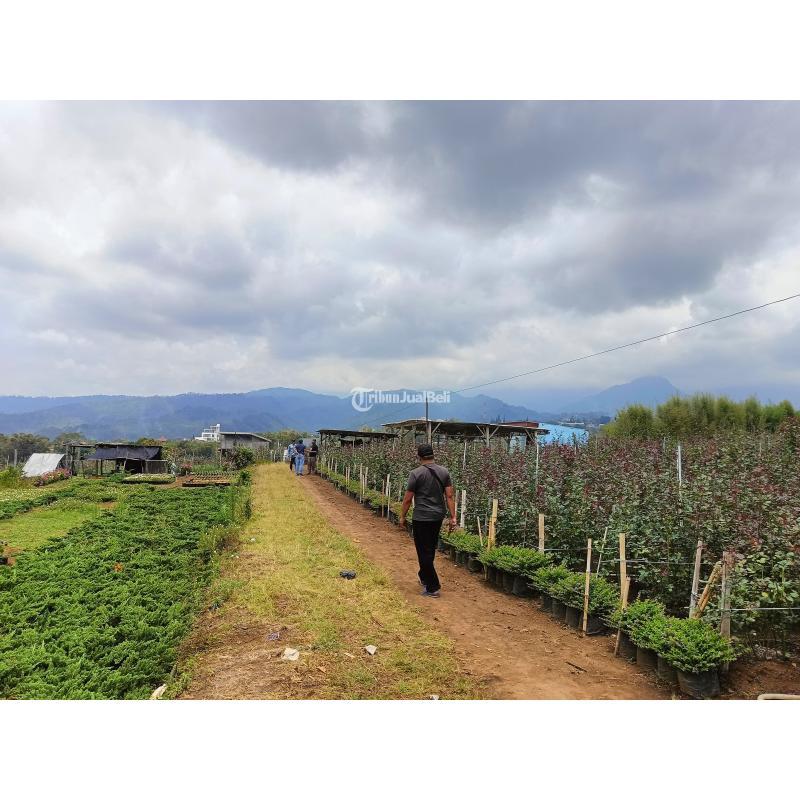 Jual Tanah Luas 3100 m2 SHM Strategis dengan View Pegunungan di Kota Dekat Wisata Selecta - Batu