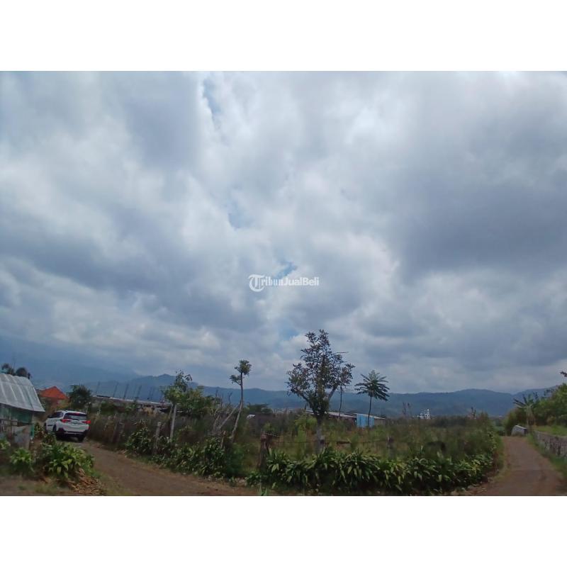 Jual Tanah Luas 3100 m2 SHM Strategis dengan View Pegunungan di Kota Dekat Wisata Selecta - Batu