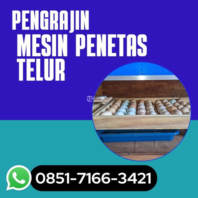  Alat Penetas Telur Burung - Pasuruan 