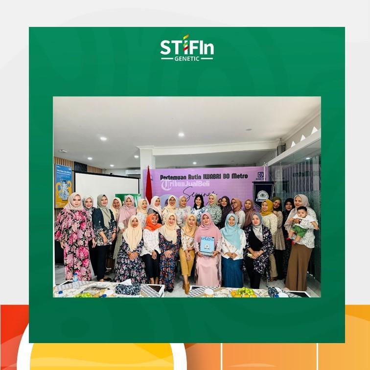 Tes STIFIn Mengenali Minat Bakat - Metro