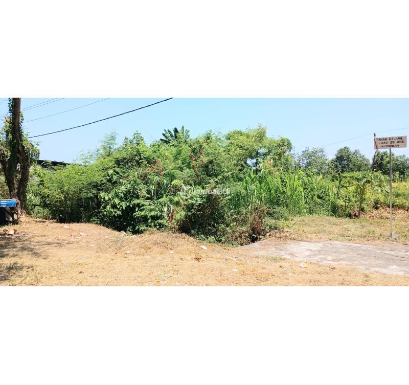 Dijual Tanah 2500 m2 jl Ida Bagus Mantra Kusamba - Klungkung