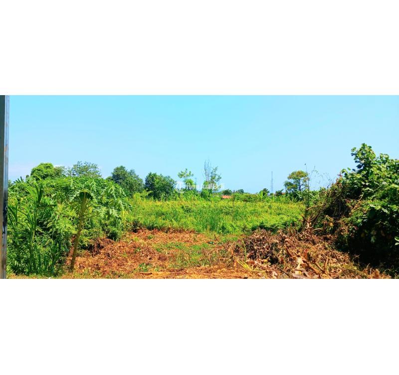 Dijual Tanah 2500 m2 jl Ida Bagus Mantra Kusamba - Klungkung