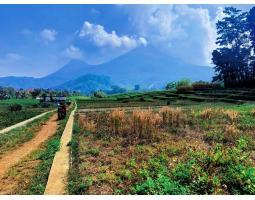 Dijual Tanah Murah dengan View Memukau di Desa Penanggungan, Trawas - Mojokerto 