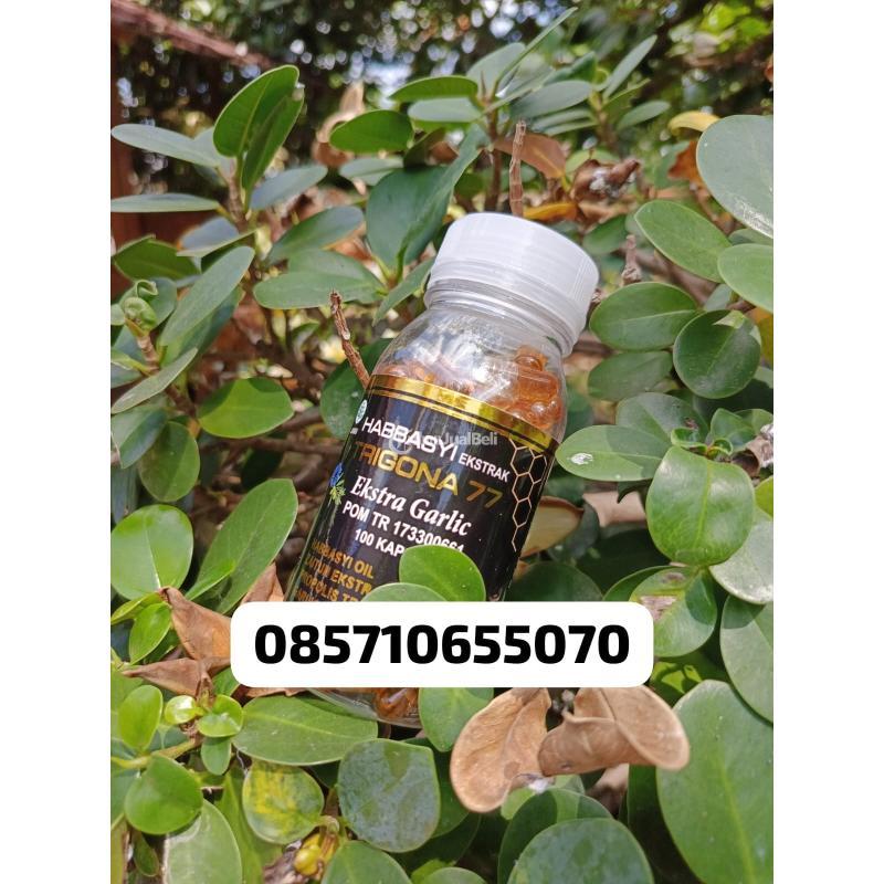 Toko Habbatusauda Termurah Jogja - Bantul