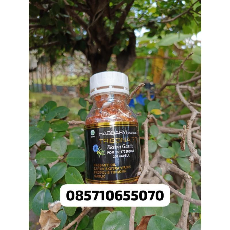 Toko Habbatusauda Termurah Jogja - Bantul