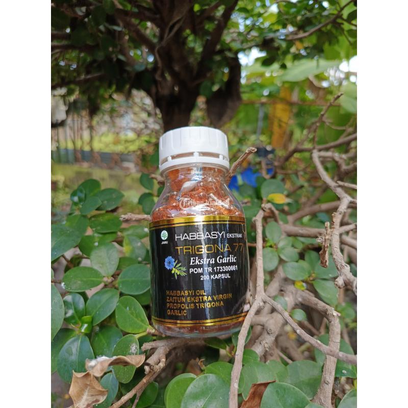 Toko Habbatusauda Termurah Jogja - Bantul