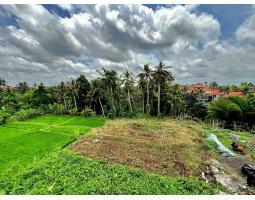 Dijual Tanah 2163 m2 di Ubud Jalan Tirta Tawar Dekat Jalan Andong - Gianyar Bali