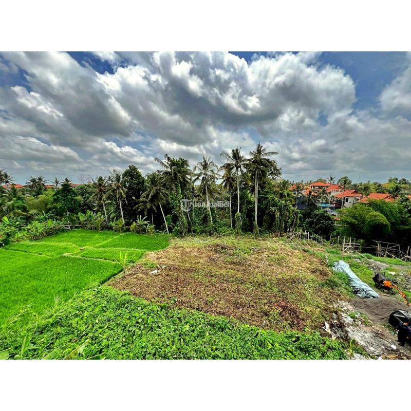 Dijual Tanah 2163 m2 di Ubud Jalan Tirta Tawar Dekat Jalan Andong - Gianyar Bali