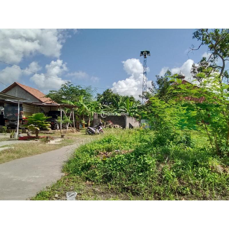 Dijual Tanah Kavling Luas 105m SHM Barat Kampus UMY Gamping - Sleman