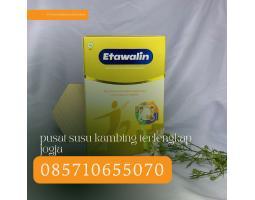 Etawalin Pusat Susu Kambing Terlengkap Jogja - Bantul